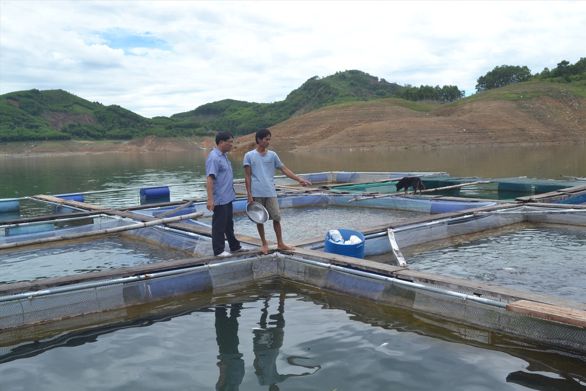 Ngành chức năng khuyến khích nhân rộng nuôi cá thác lác cườm ở các lòng hồ thủy lợi, thủy điện. Ảnh: VS