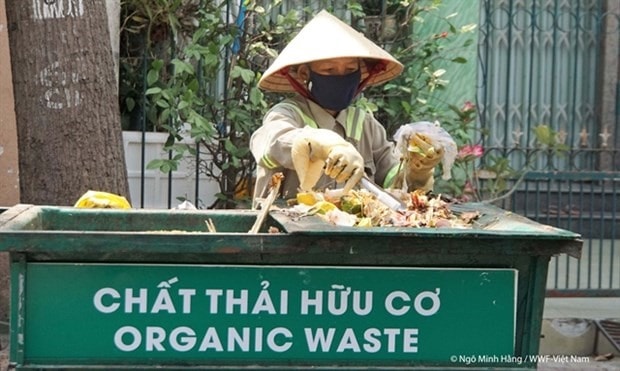 A worker separates domestic waste in District 3, Tan An city, Long An province. (Photo: WWF Vietnam)