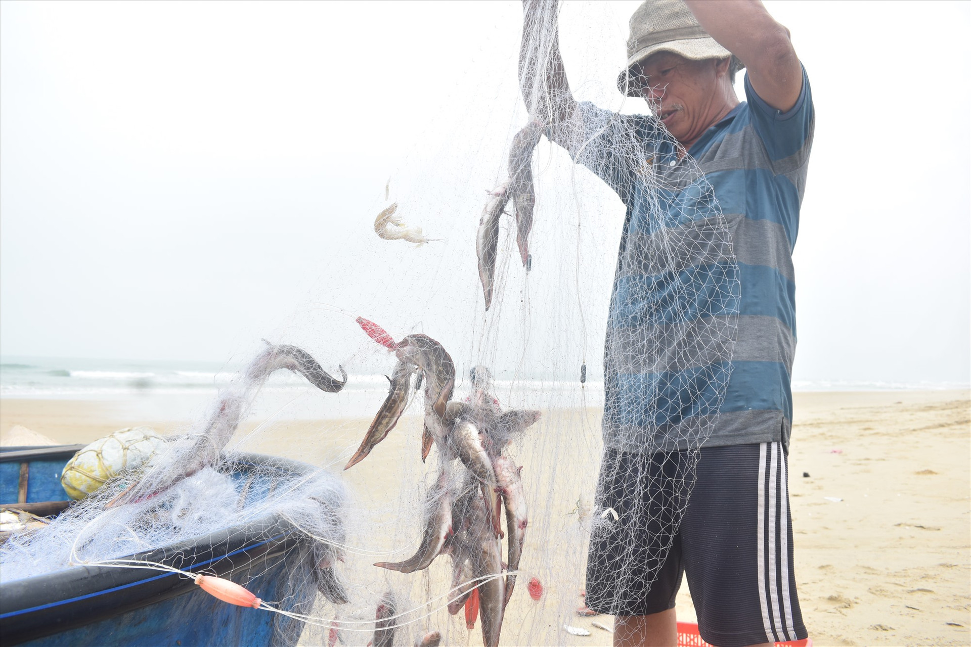 Mùa biển động lưới của ngư dân không chỉ mắc cá khoai mà còn mắc nhiều loại cá trích, ngát, ghẹ, tôm…