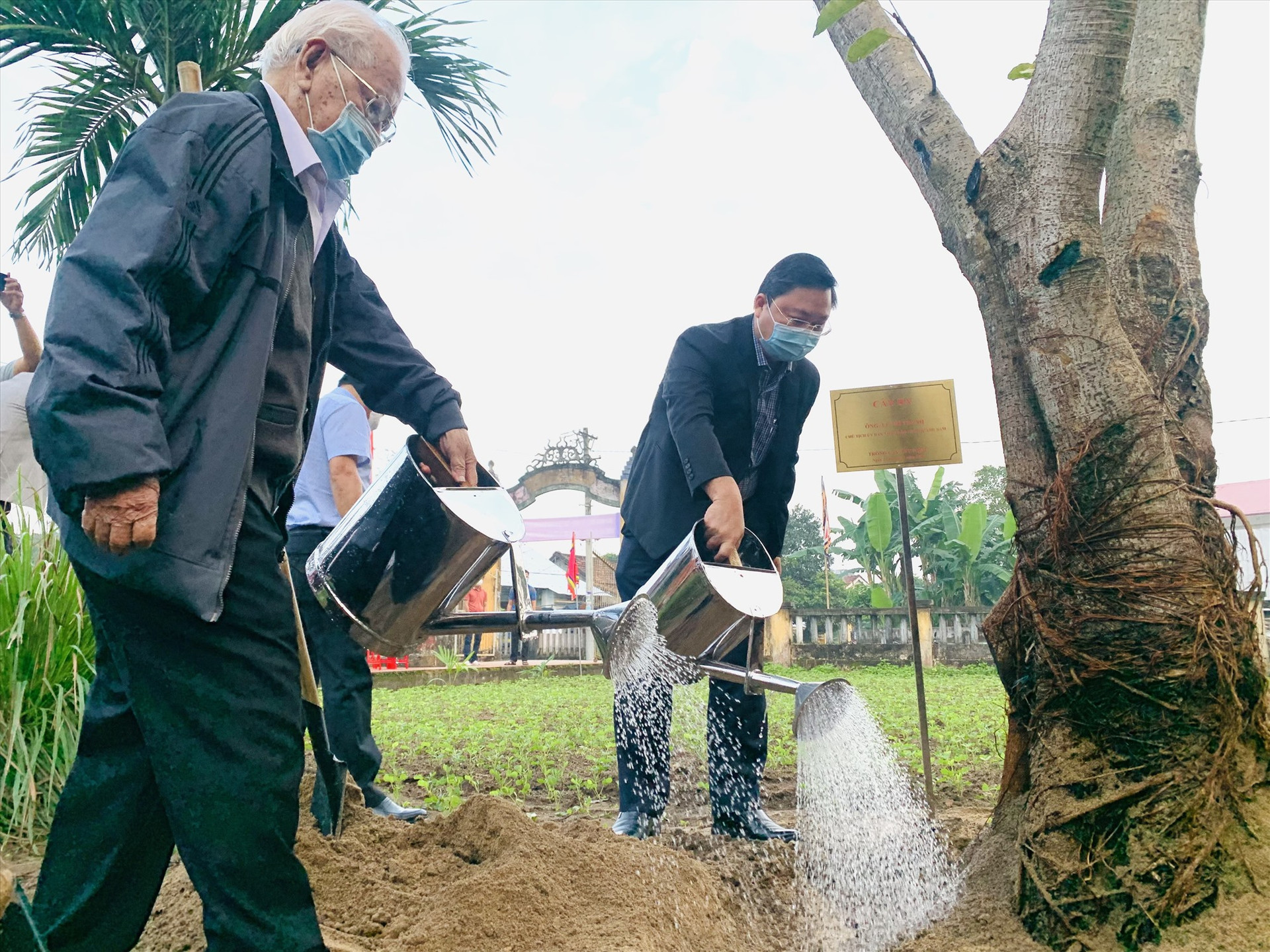 Chủ tịch UBND tỉnh Lê Trí Thanh trồng cây đa trong khuôn viên Nhà thờ Ngũ xã Trà Kiệu.    Ảnh: N.T