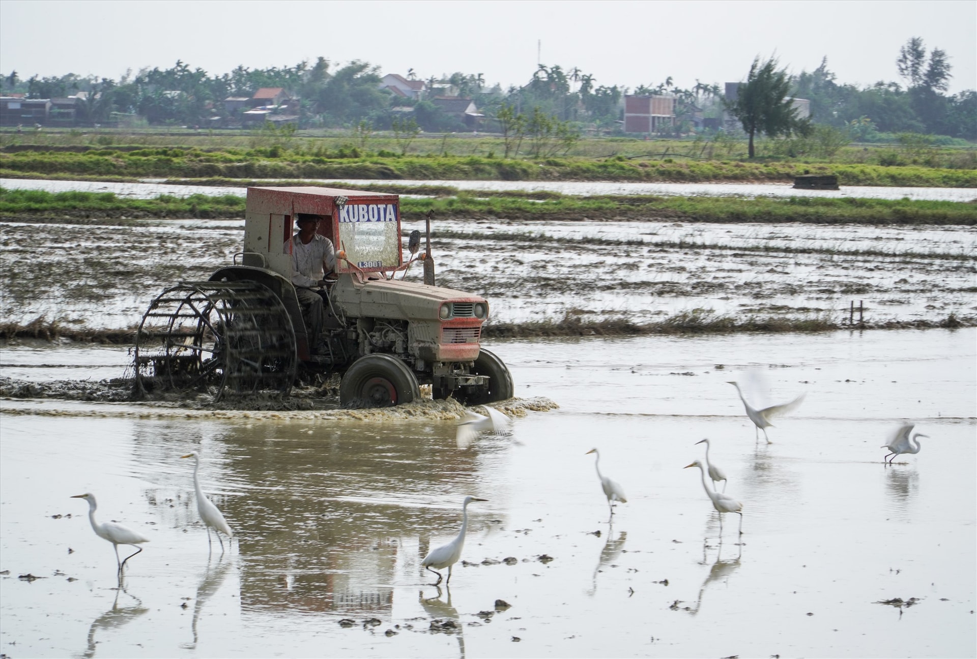 Những ngày này, thời tiết dần nắng ráo nên nông dân bắt đầu cày xới ruộng đồng, bắt đầu cho vụ mùa mới. Ảnh: H.Q