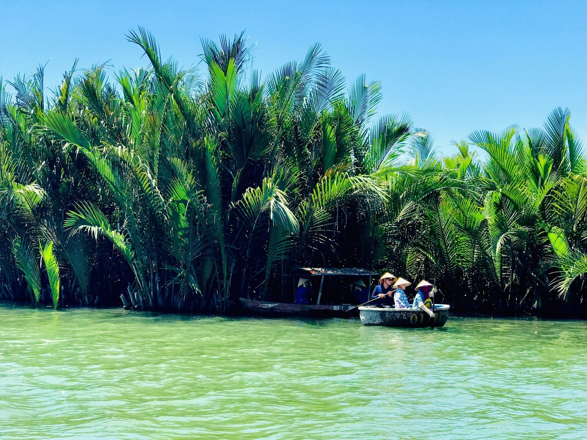 A corner of Bay Mau nipa palm forest