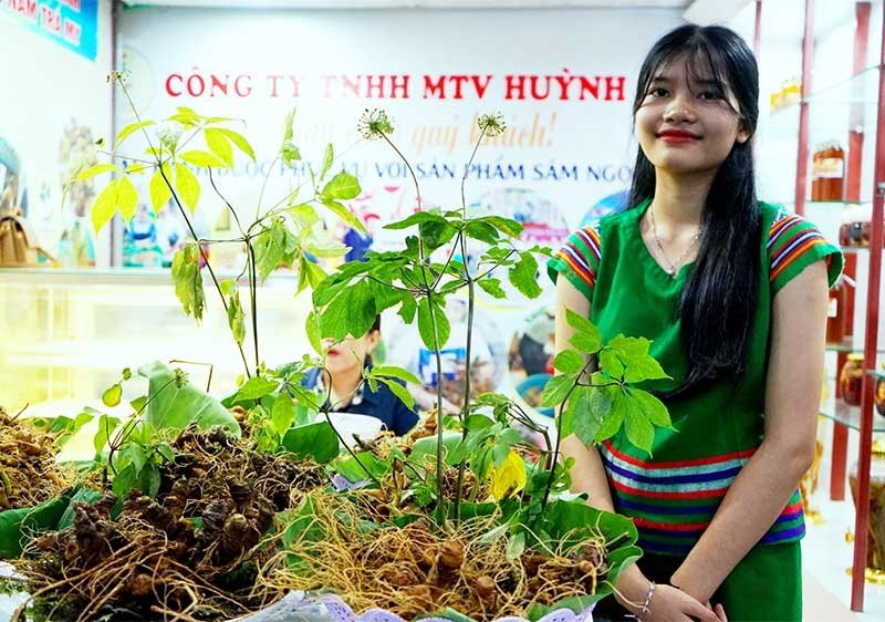 Ngoc Linh ginseng fair in Nam Tra My district, Quang Nam province