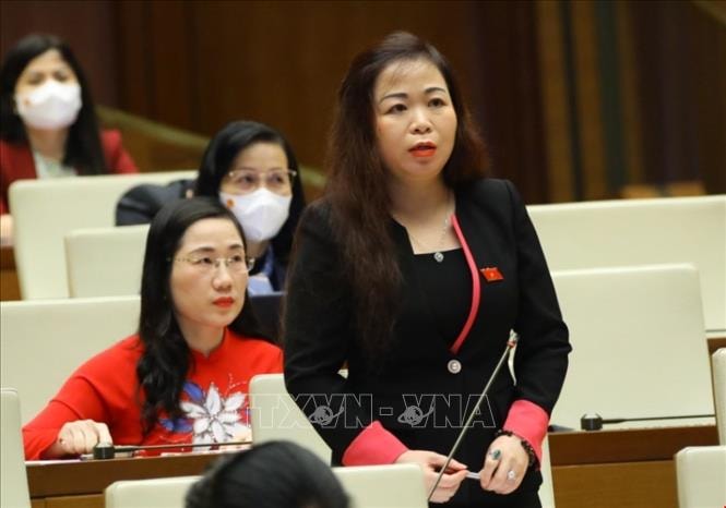 Đại biểu Quốc hội thành phố Hà Nội Vũ Thị Lưu Mai phát biểu. Ảnh: Văn Điệp/TTXVN