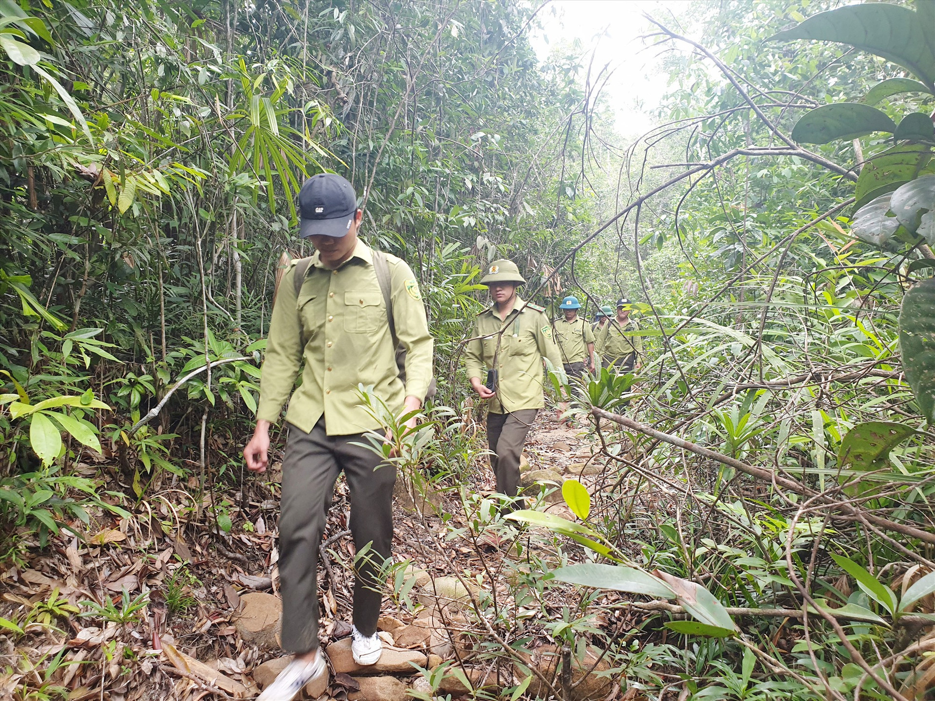Nghị quyết số 38 của HĐND tỉnh ra đời sẽ giúp lực lượng chuyên trách bảo vệ rừng an tâm công tác. Ảnh: H.P
