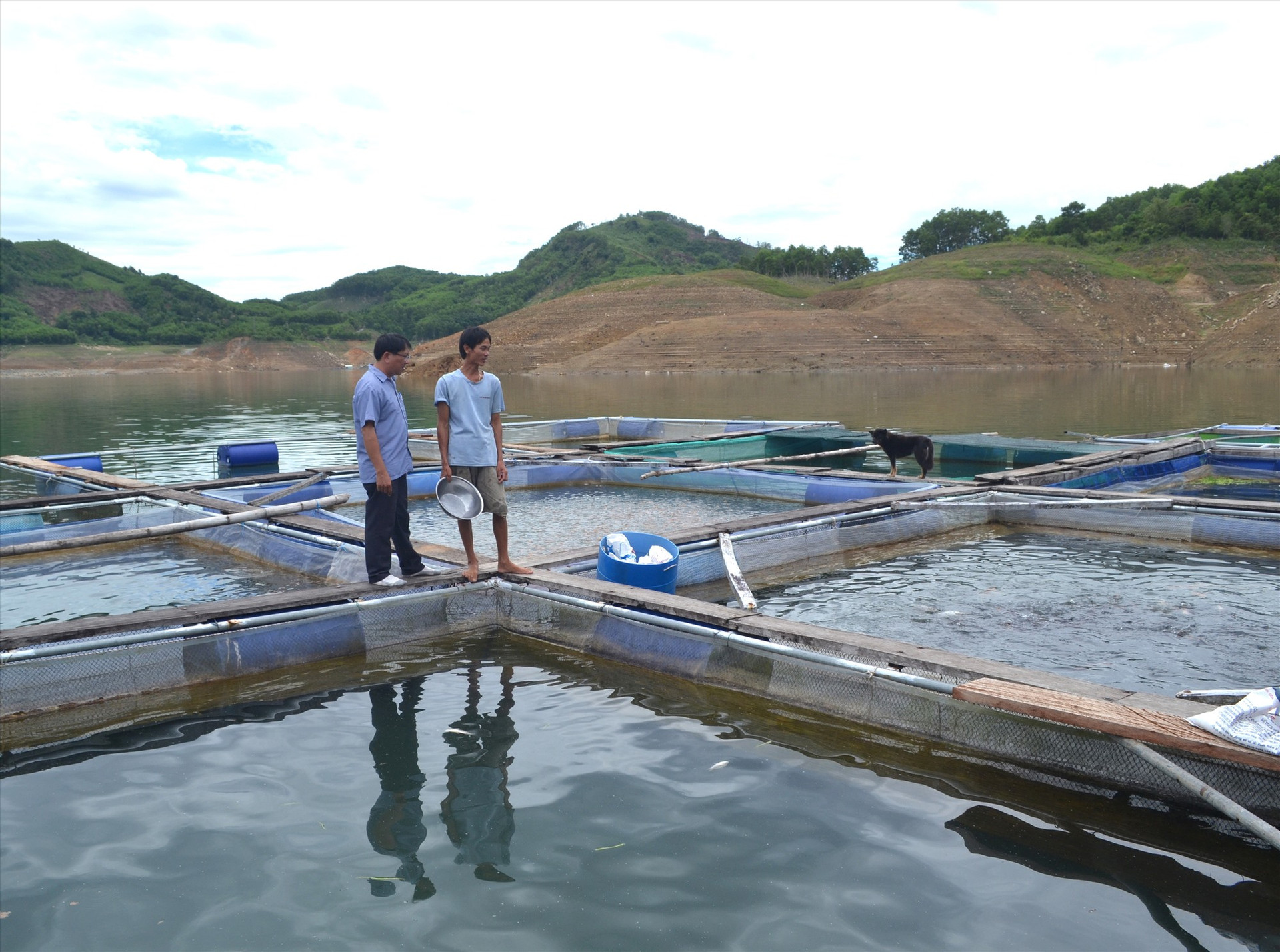 Mô hình nuôi cá thát lát cườm ở hồ thủy điện Sông Tranh 2 của HTX Nuôi trồng thủy sản Bắc Trà My. Ảnh: NGUYỄN QUANG