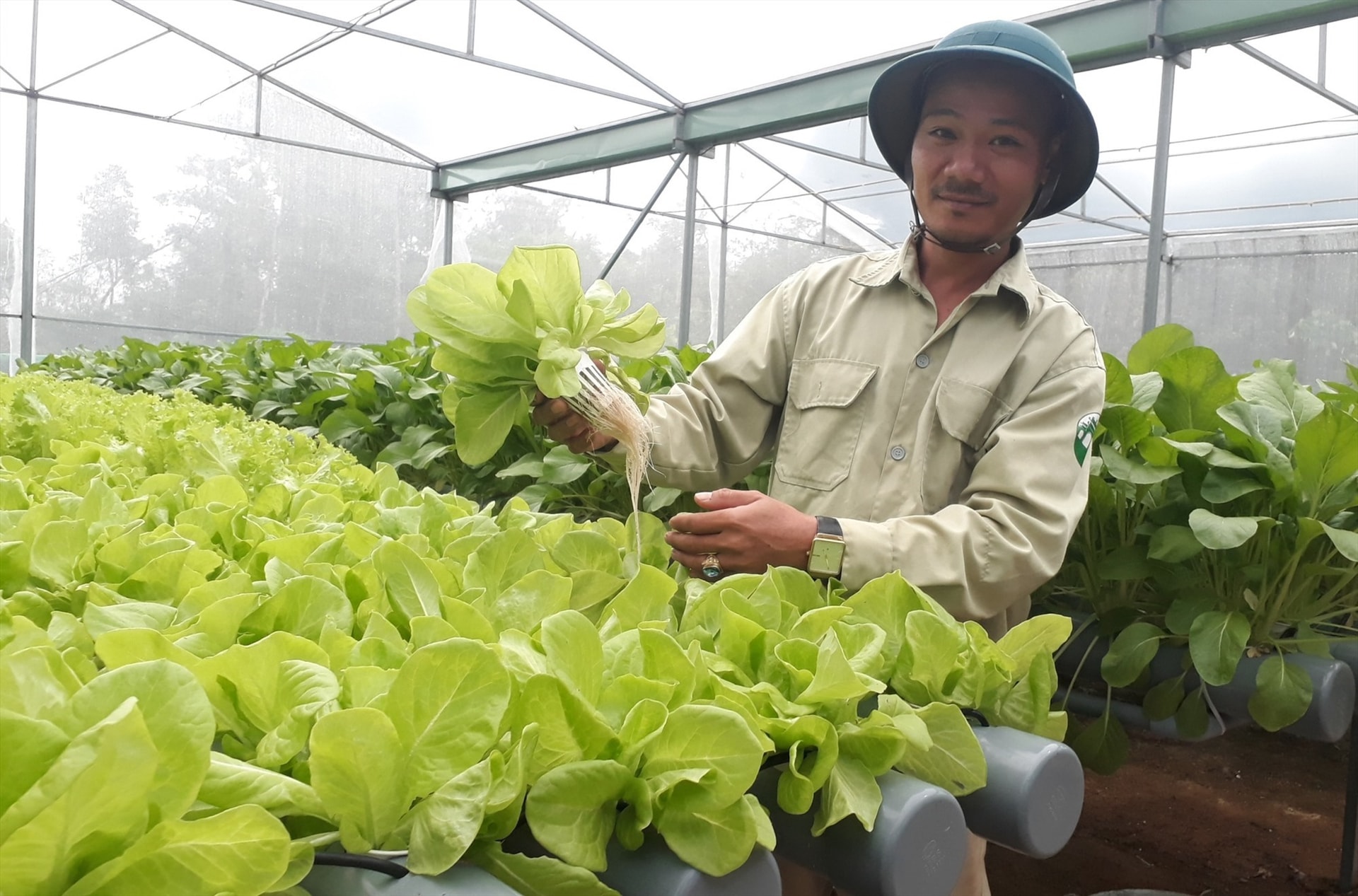 Mr. Vo Trong Nghia and his hydroponic vegetable farm