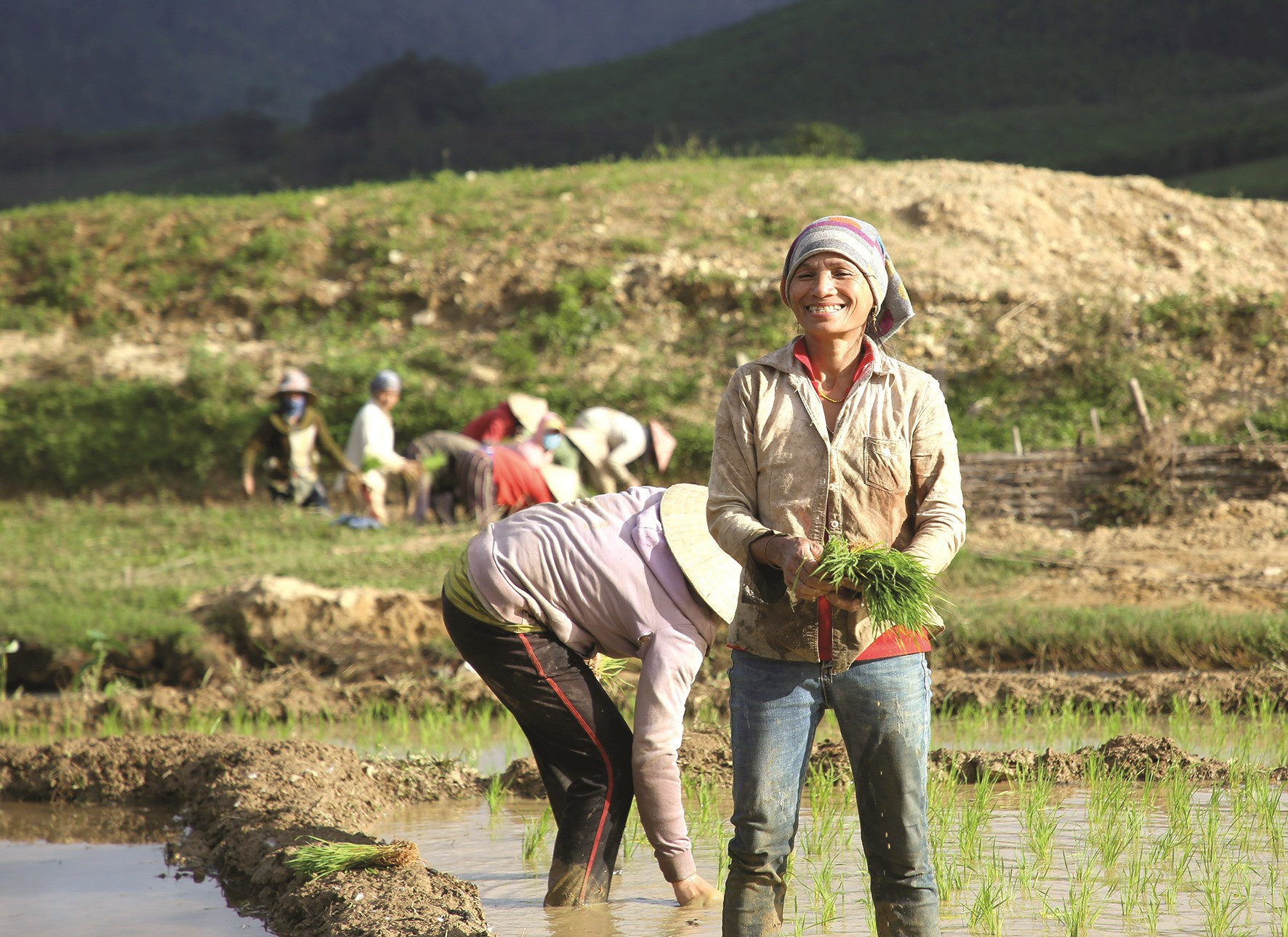 Nụ cười vui trên cánh đồng lúa nước của người phụ nữ Bh’noong huyện Phước Sơn.