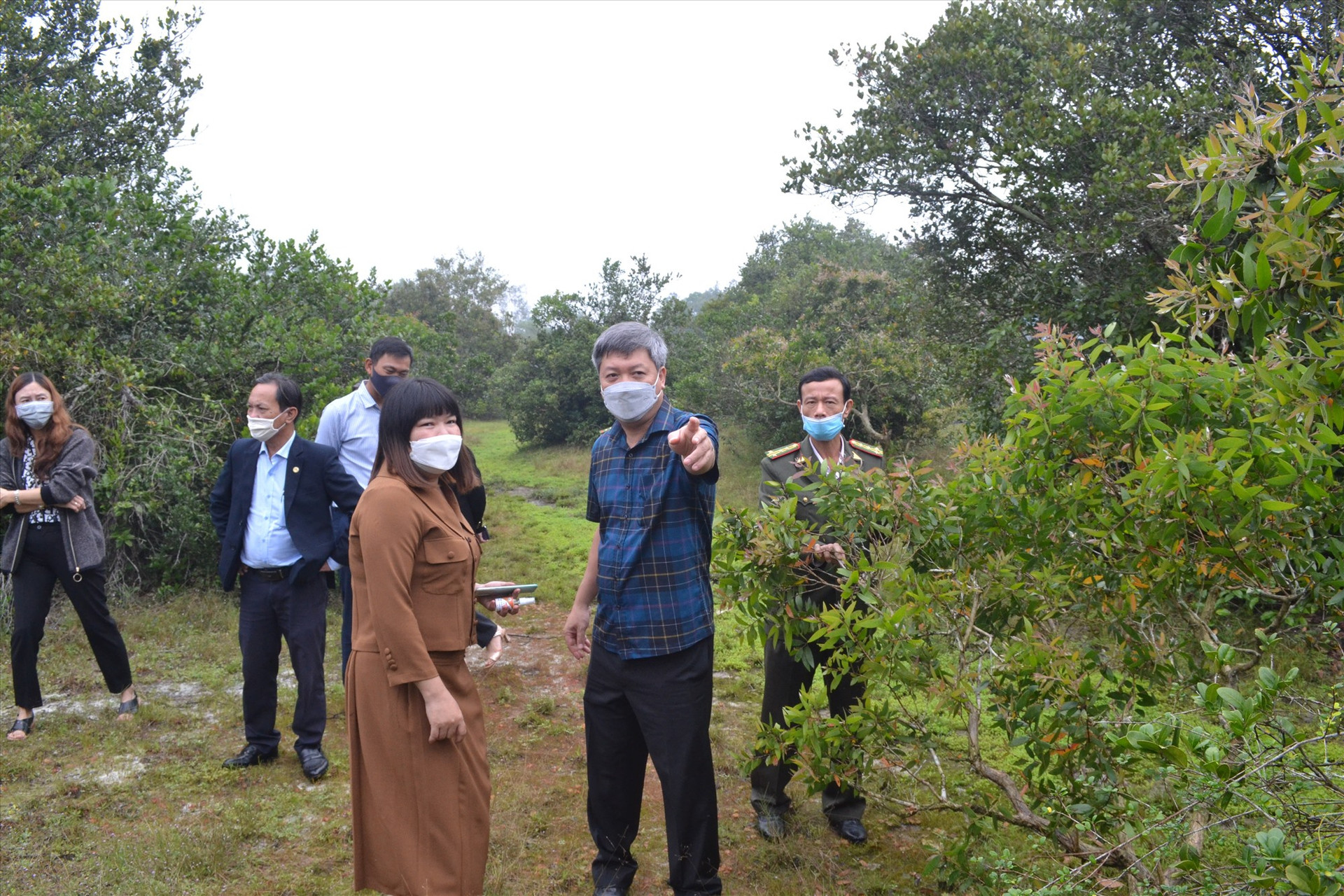 Đoàn công tác khảo sát rừng tràm tự nhiên ở thôn Tây Giang. Ảnh: Q.VIỆT