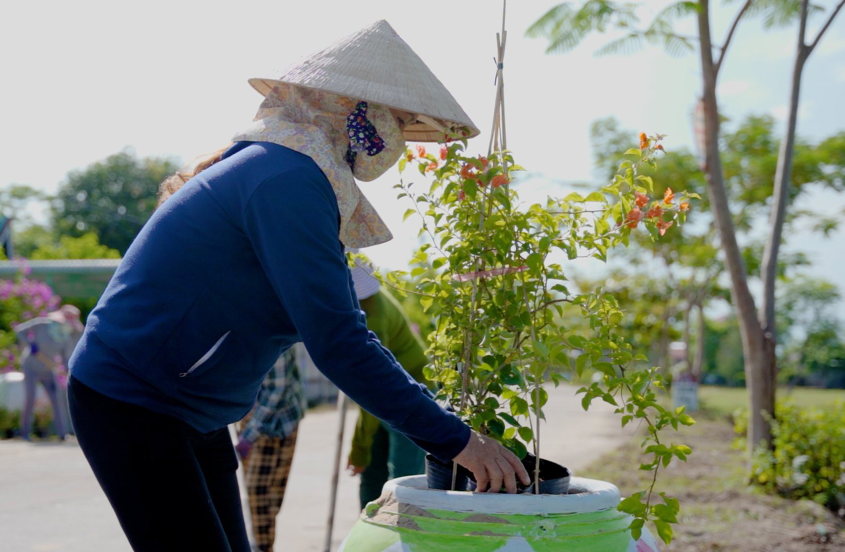 Hội viên phụ nữ trồng cây xanh dọc các tuyến đường của xã Bình Dương. Ảnh: G.B