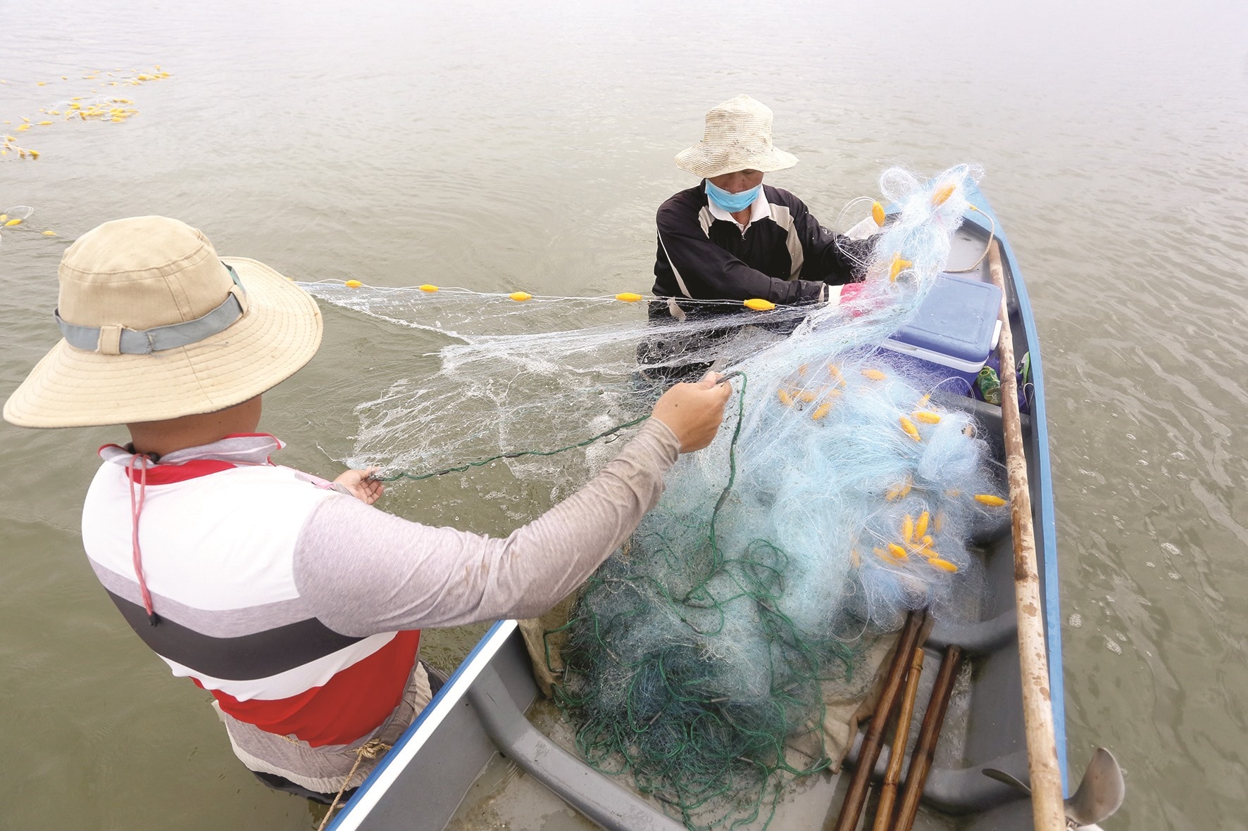 Lưới đã gỡ hết cá được cho lên ghe và di chuyển đến nơi khác đánh bắt tiếp.