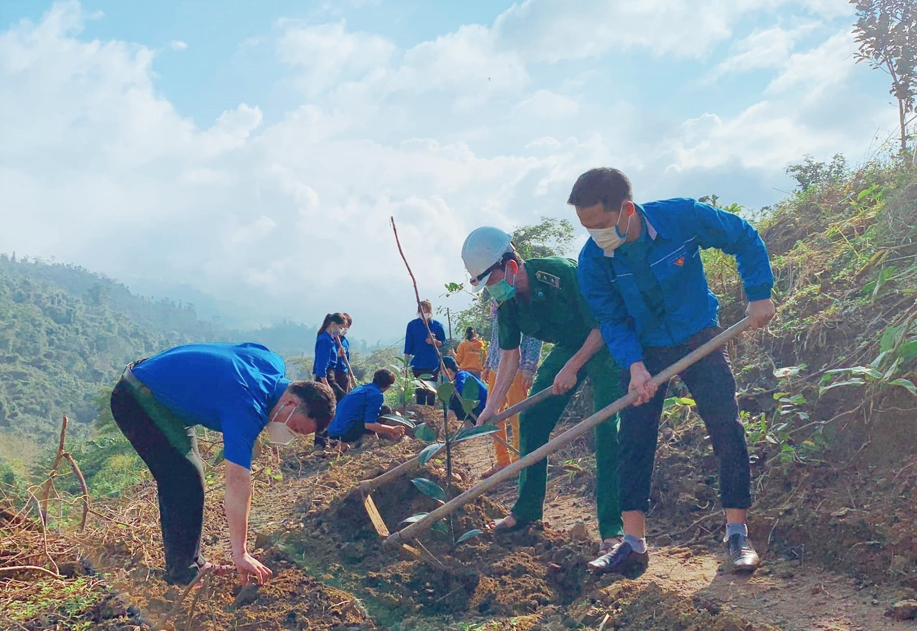 Đoàn viên thanh niên tham gia trồng rừng. Ảnh: Tuổi trẻ Quảng Nam