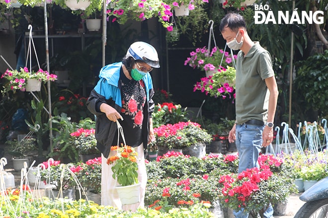 Người dân chọn mua hoa tại tuyến phố chuyên doanh hoa đường Nguyễn Đình Tự (quận Thanh Khê) trong sáng 27-1.