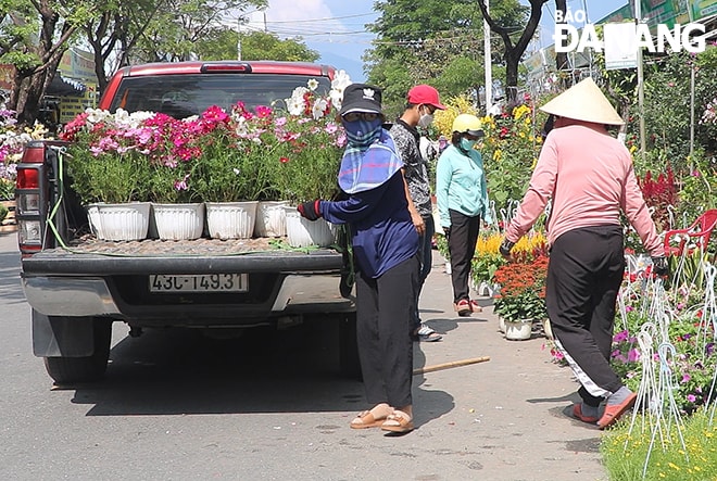Các loại hoa liên tục được chủ các cửa hàng bổ sung để đáp ứng nhu cầu mua hoa dịp Tết của người dân.