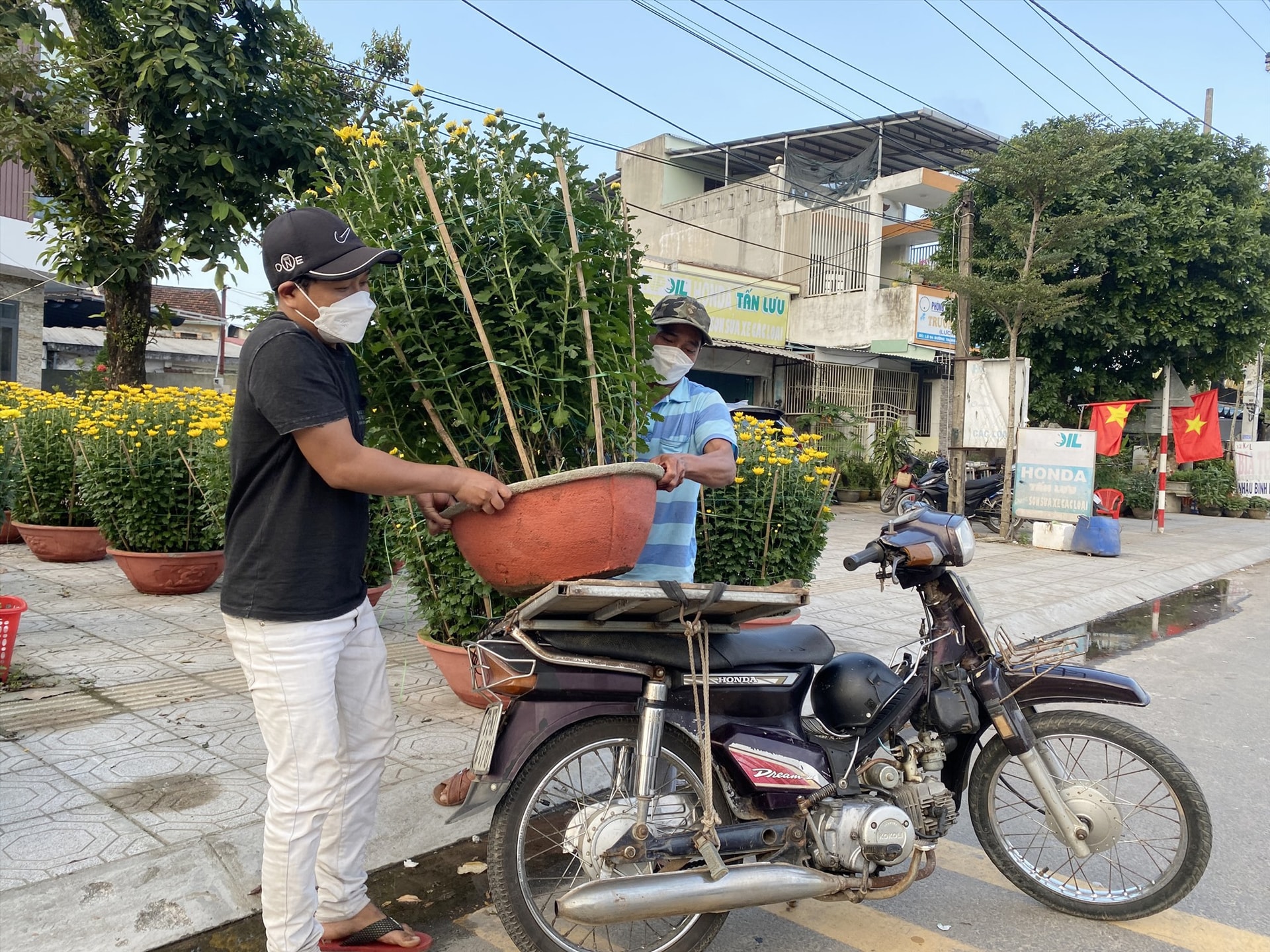 Một tuần nay, ông Nguyễn Ngọc Vinh (48 tuổi, phường Hoà Hương, TP.Tam Kỳ) dường như không có thời gian nghỉ ngơi. Công việc phải di chuyển suốt ngày nhưng ông không cảm thấy mệt mỏi mà thay vào đó là niềm vui khi có thêm một khoản thu nhập từ nghề vận chuyển cây cảnh thuê.