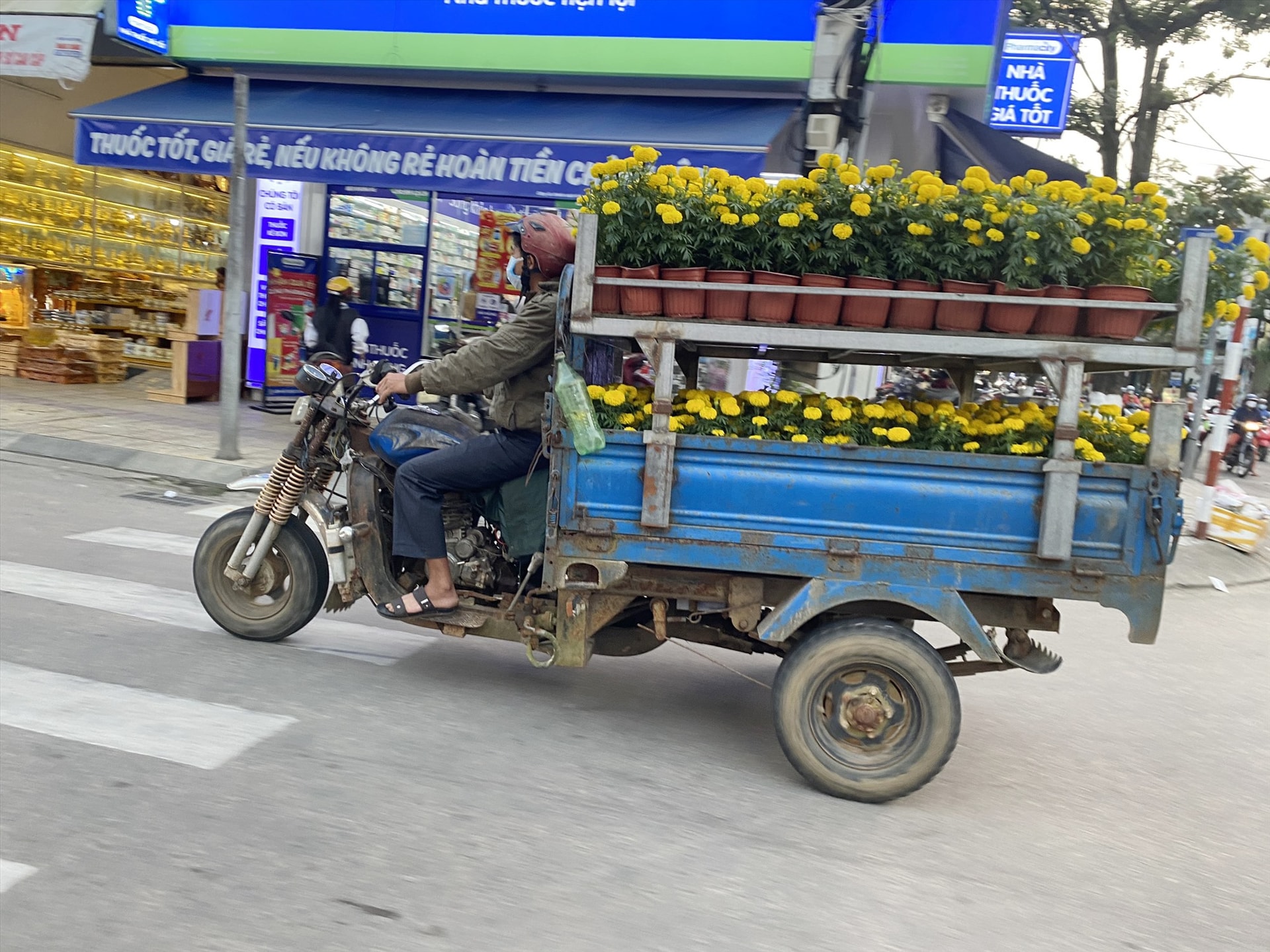 Theo chia sẻ của những người làm dịch vụ chở cây cảnh thuê, thì càng sát tết, nhu cầu mua sắm càng tăng. Trung bình mỗi ngày, một người làm nghề dịch vụ chở cây cảnh này cũng có thể kiếm được từ 600 – 700 nghìn đồng. Càng gần tết thì thu nhập của họ cao hơn, có thể lên đến 1 - 1,5 triệu đồng/ngày.