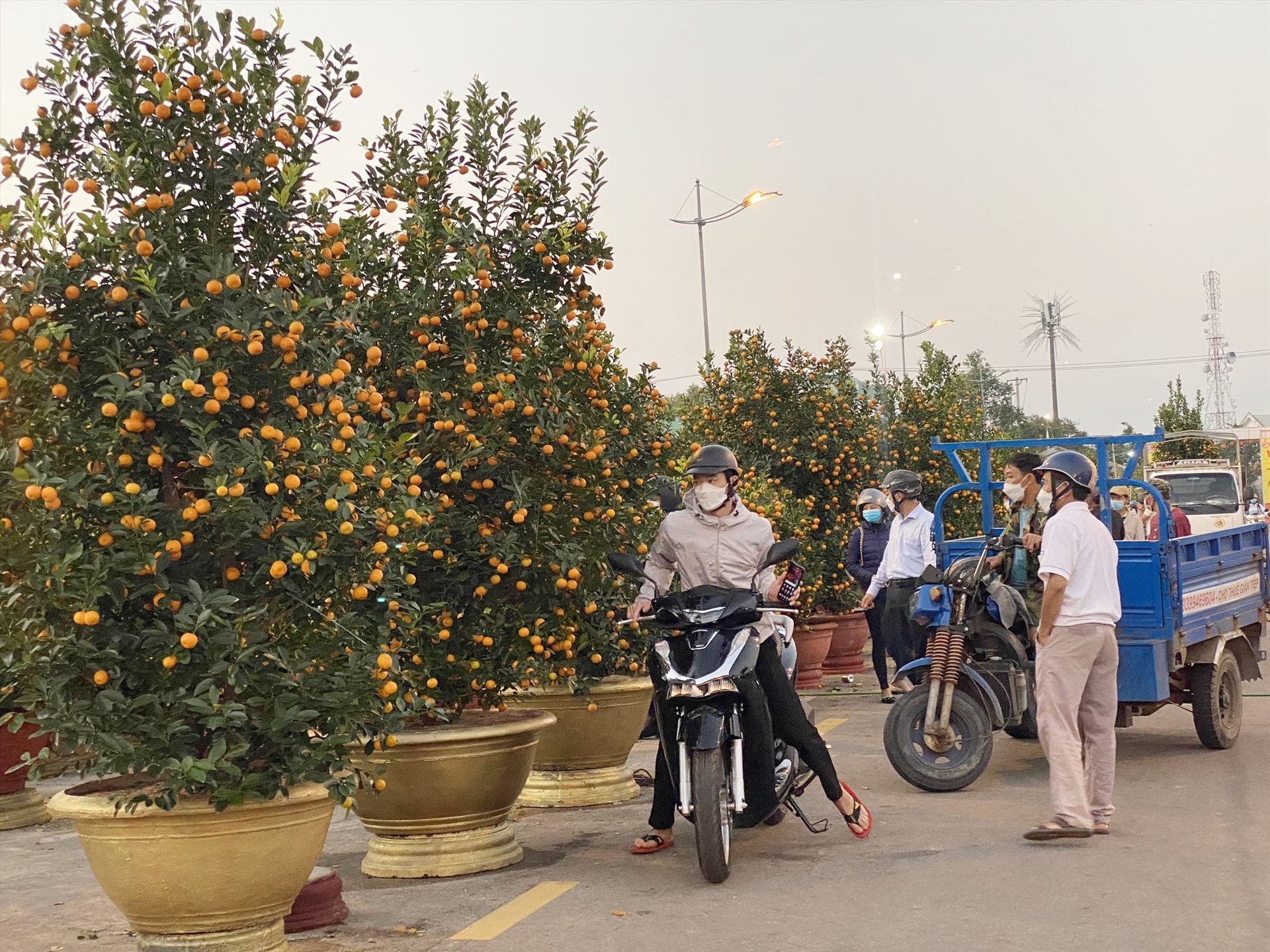 Tại Tam Kỳ, tuyến đường Thanh Hoá, Đỗ Thế Chấp, Phan Chu Trinh, N24… là những điểm buôn bán cây cảnh chưng tết sầm uất nhất.