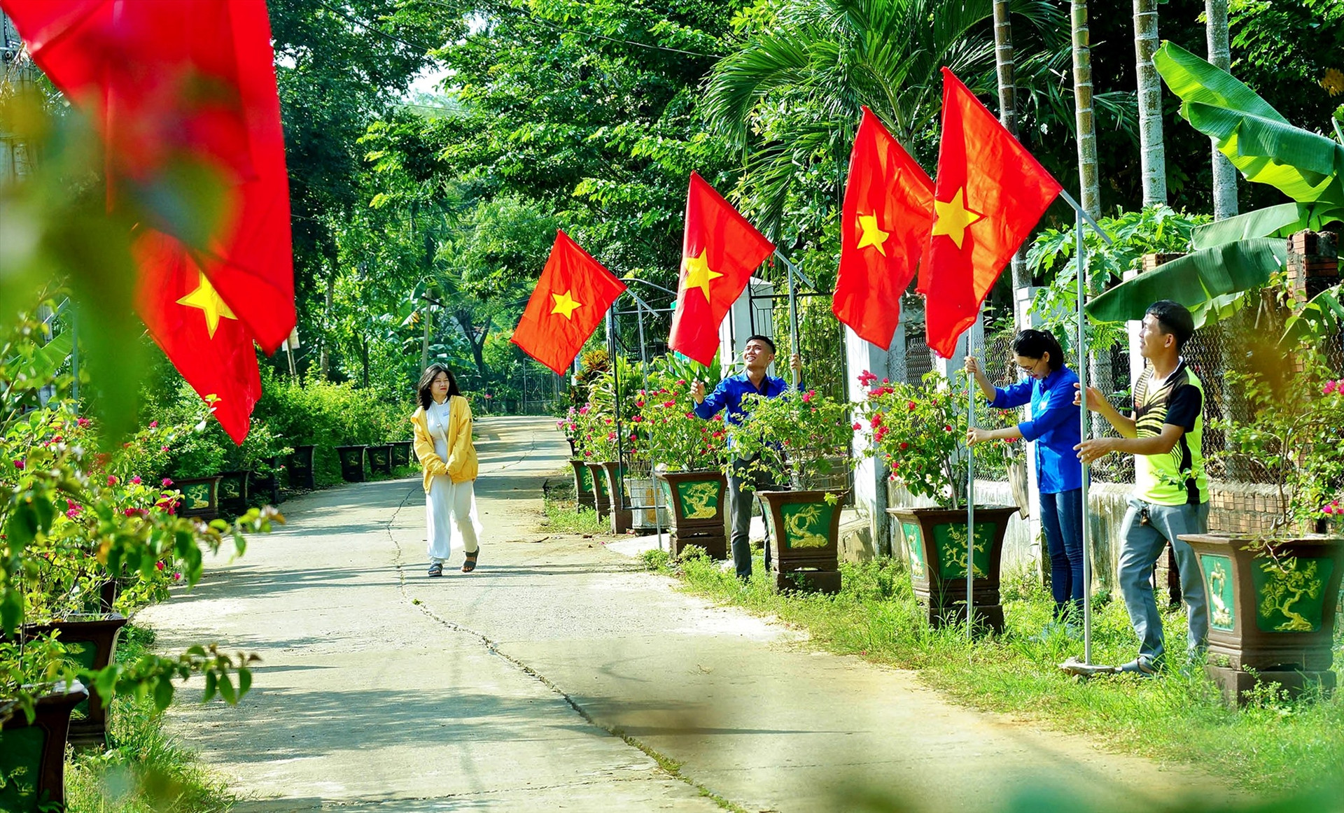 Tết này, các làng quê ở Phú Ninh rực sắc cờ, hoa. Ảnh: Đ.T
