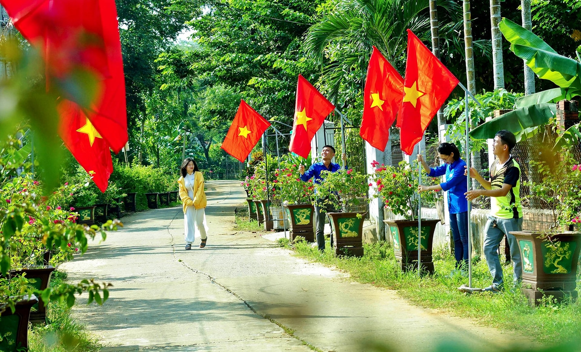 Tết này, các làng quê ở Phú Ninh rực sắc cờ, hoa. Ảnh: Đ.T