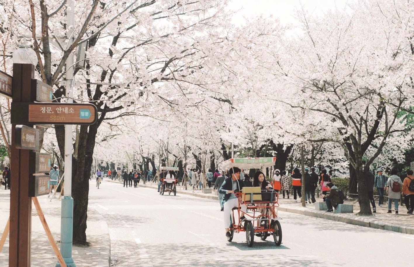 Mùa xuân ở thành phố Incheon. Ảnh: IG @pueng.picha