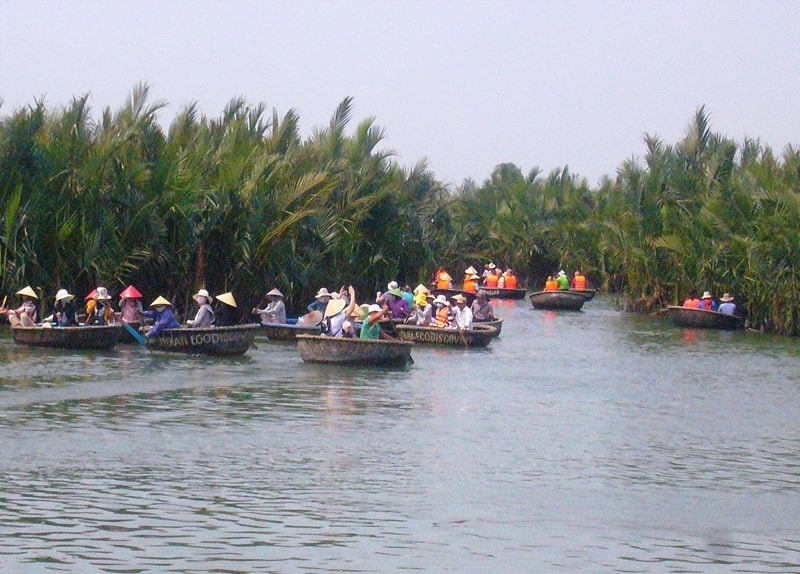 Bay Mau nipa palm forest in Hoi An city, Quang Nam province