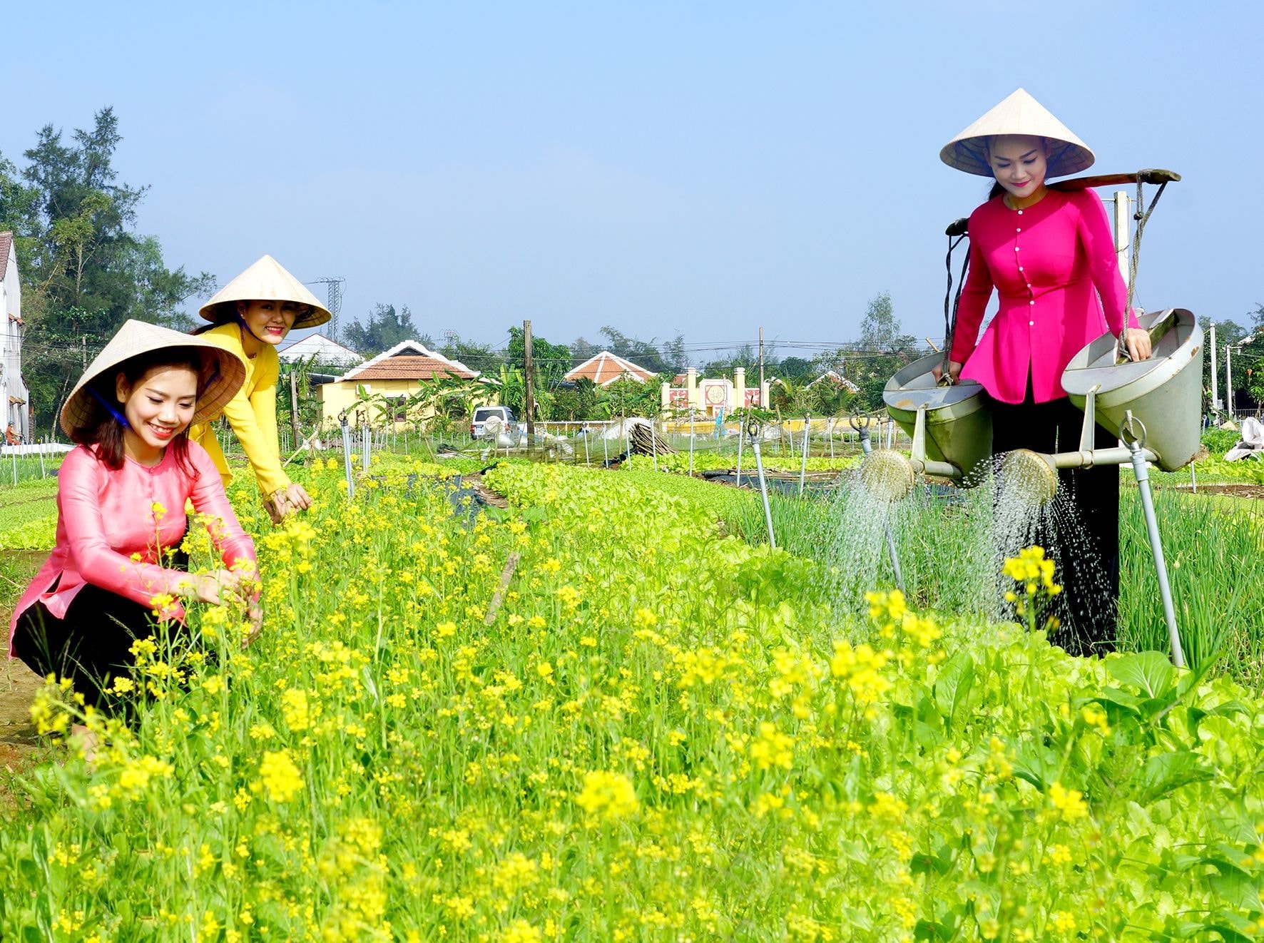 Mùa xuân là cả mùa xanh. Ảnh: PHƯƠNG THẢO