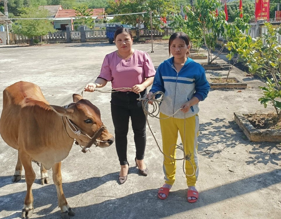 Chính quyền địa phương quan tâm hỗ trợ bò giống nhằm giúp người dân có điều kiện phát triển kinh tế hộ. Ảnh: T.N