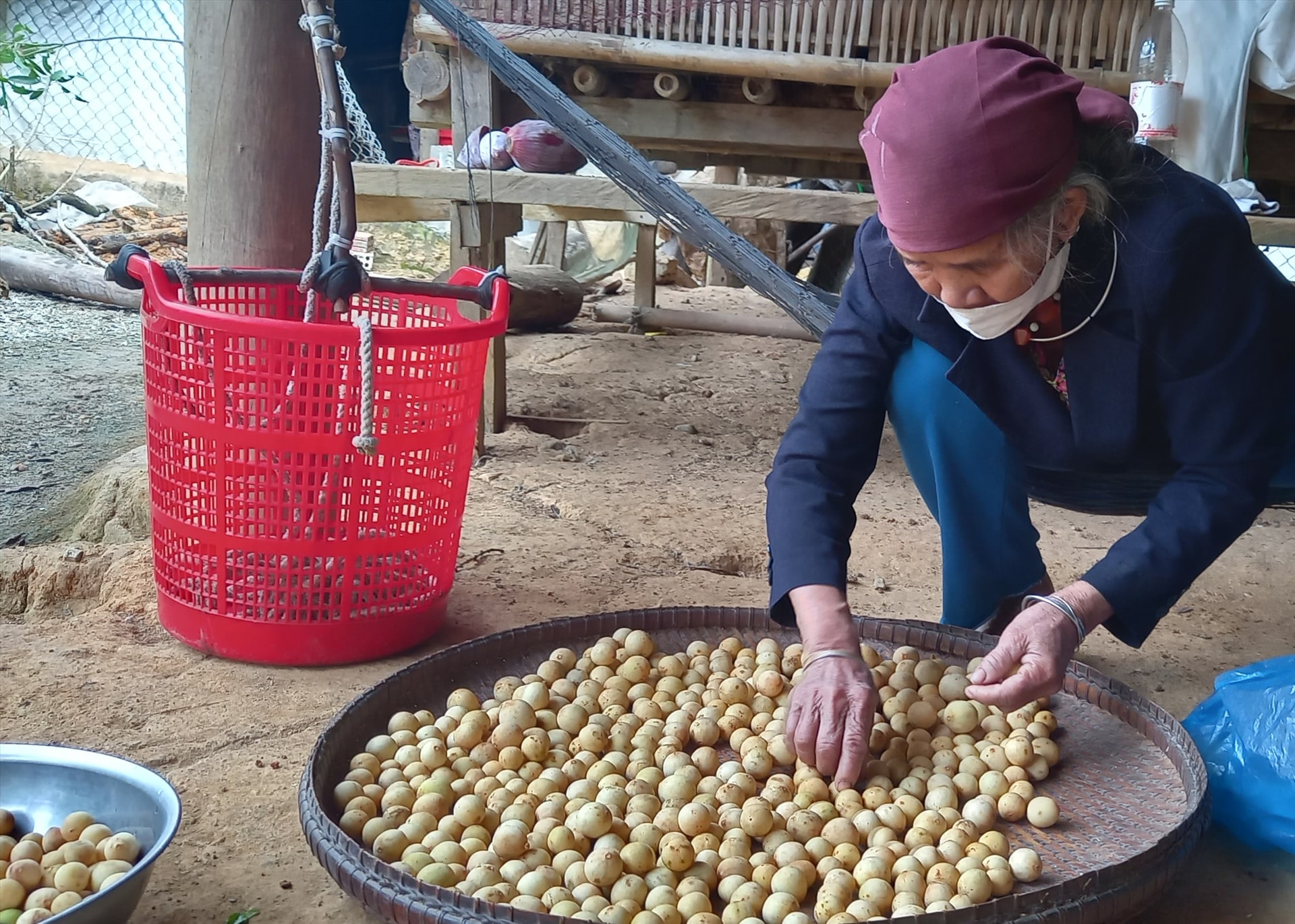 Bà Bnướch Im lựa những trái lòn bon ngon đãi khách. Ảnh: V.T