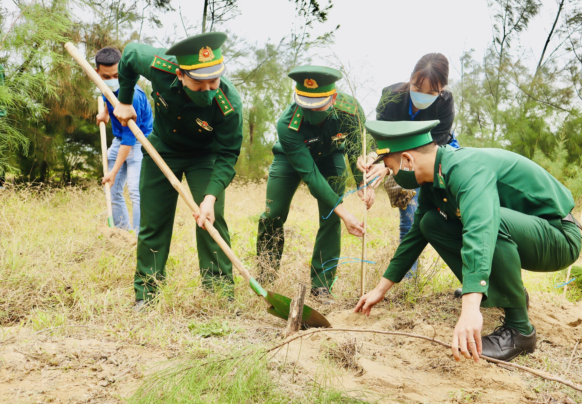 Bộ đội biên phòng tỉnh và tuổi trẻ Quảng Nam ra quân trồng cây xanh tại biển Cửa Đại. Ảnh: T.L
