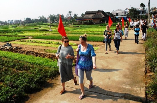 eco-tourism experience in Quang Nam