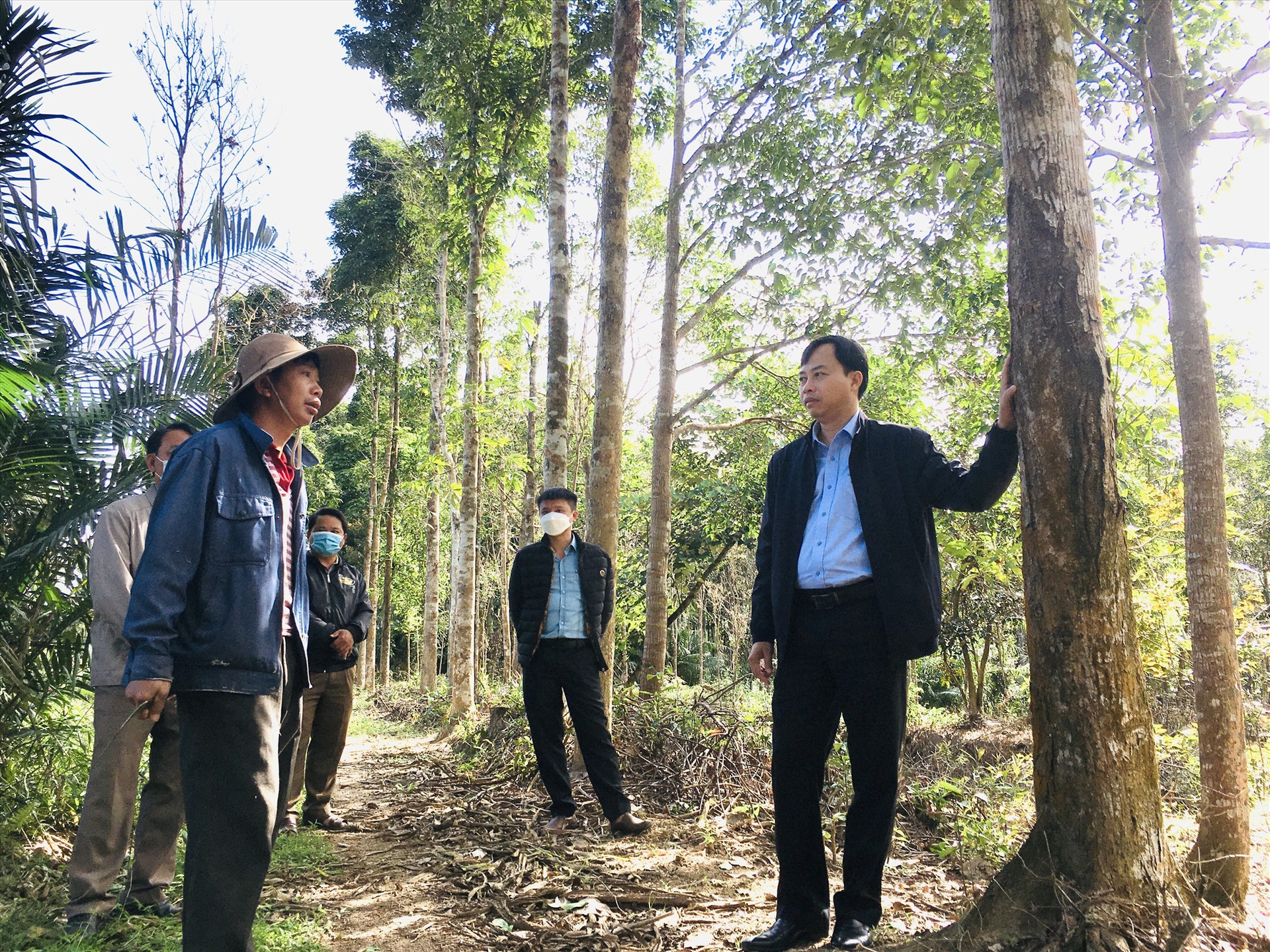 Mô hình trồng rừng gỗ lớn của ông Nguyễn Đình Mỹ (thôn Tứ Nhũ, xã Quế Lâm) hứa hẹn cho hiệu quả kinh tế cao.Ảnh: LÊ THÔNG