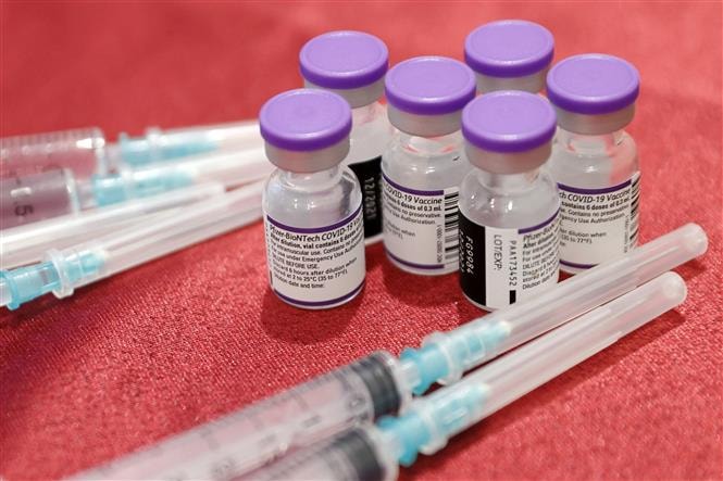 Vaccine phòng COVID-19 của Pfizer. Ảnh: AFP/TTXVN