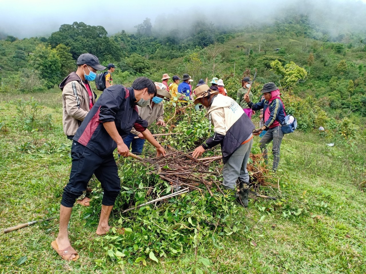 Người dân ra quân chặt bỏ cây lá ngón. Ảnh: TẤN SỸ