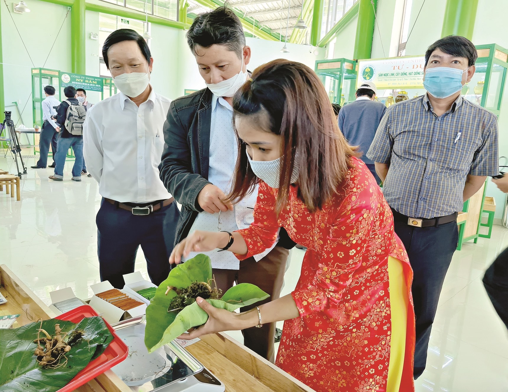 Sản phẩm sâm Ngọc Linh được khách hàng lựa chọn và mua ngay tại phiên chợ sâm.