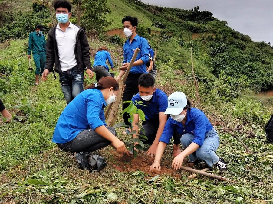 Hàng nghìn cây xanh đã được chính quyền và thanh niên huyện Nam Giang trồng, chăm sóc. Ảnh: Đ.N