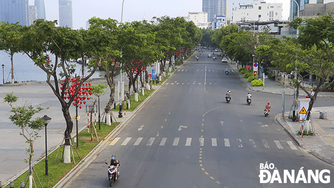 Con đường rợp bóng cây xanh trong lòng thành phố. Ảnh: PHÚC AN