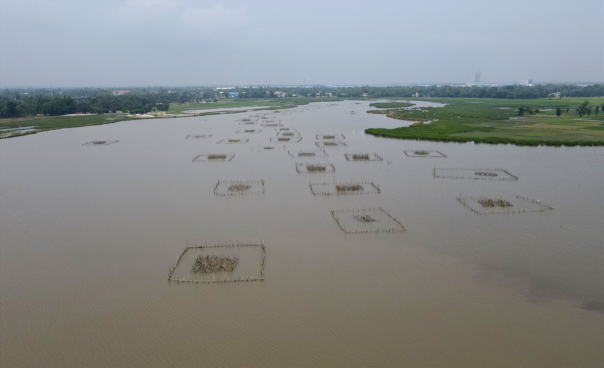 Sông Đầm, xã Tam Thăng có hàng trăm chươm người dân làm trên sông. Mỗi năm người dân thôn Vĩnh Bình làm từ 1 đến 3 chươm; mỗi chươm cách nhau khoảng 50m. Ảnh: N.Q