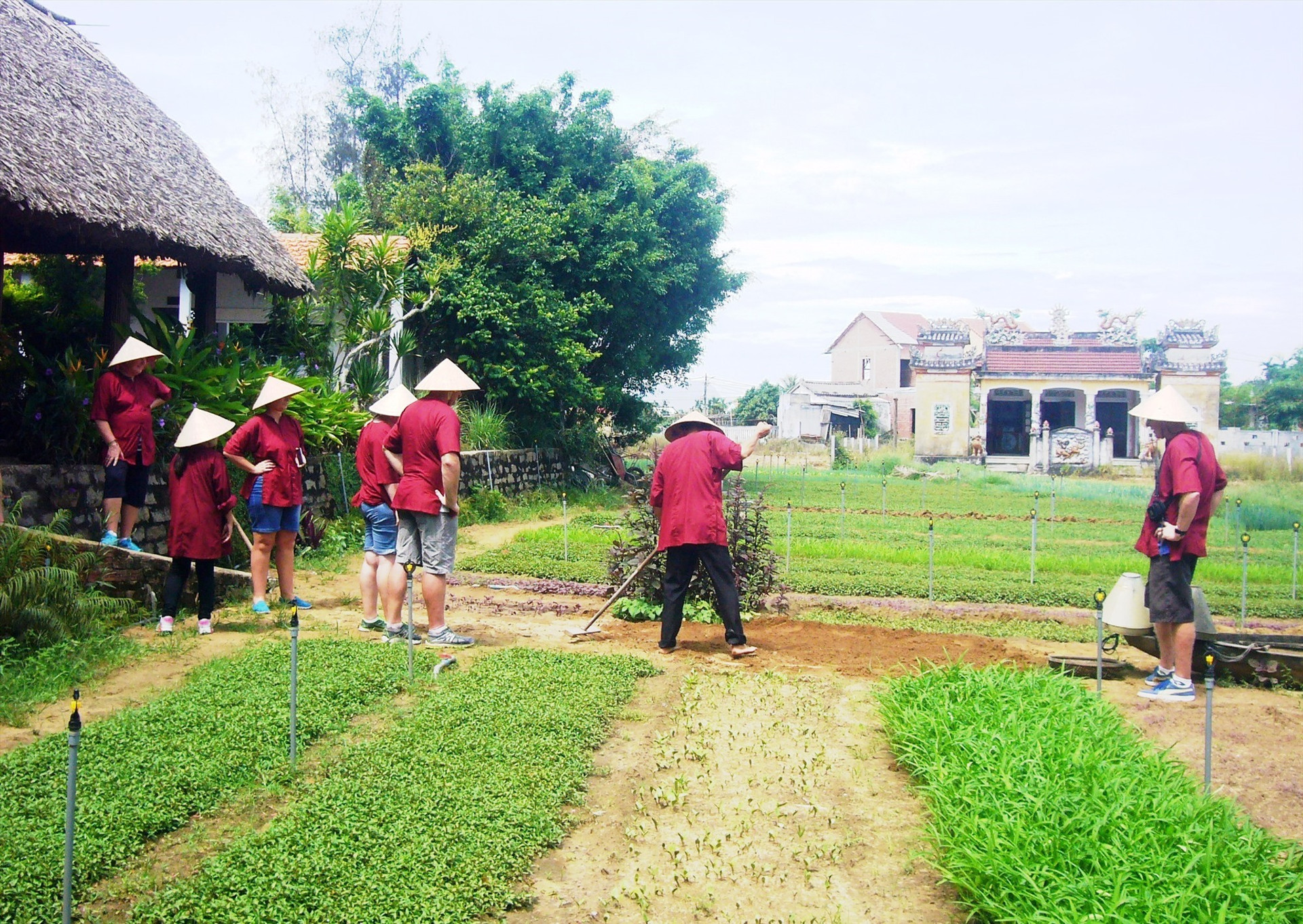 Farm tourism in Hoi An