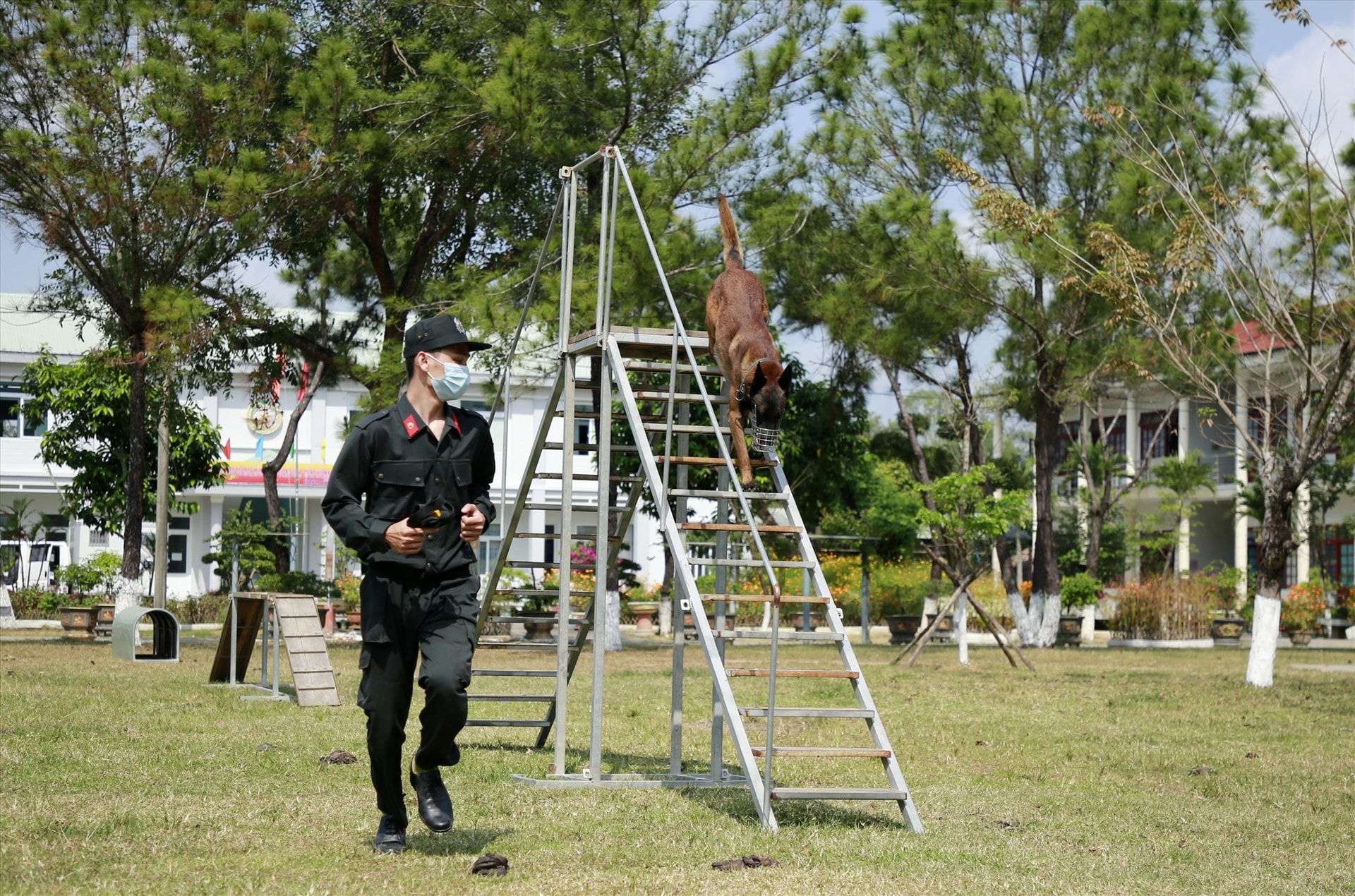 Những bài tập duy trì thể lực, sự nhanh nhẹn lẫn khả năng phán đoán, xử lý các tình huống để phục vụ những nhiệm vụ đặc biệt. Ảnh: T.C