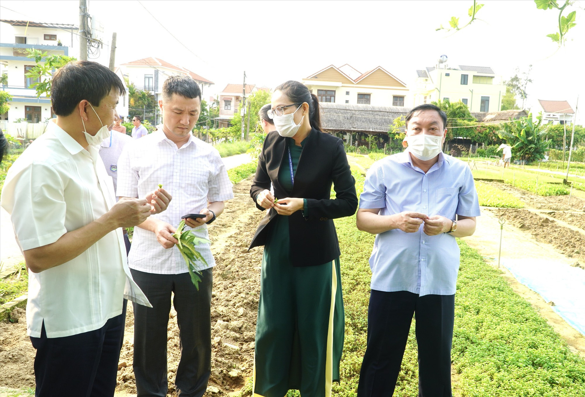 Đoàn công tác tỉnh Ninh Bình tìm hiểu cách làm du lịch tại làng rau Trà Quế (TP.Hội An). Ảnh: Q.T
