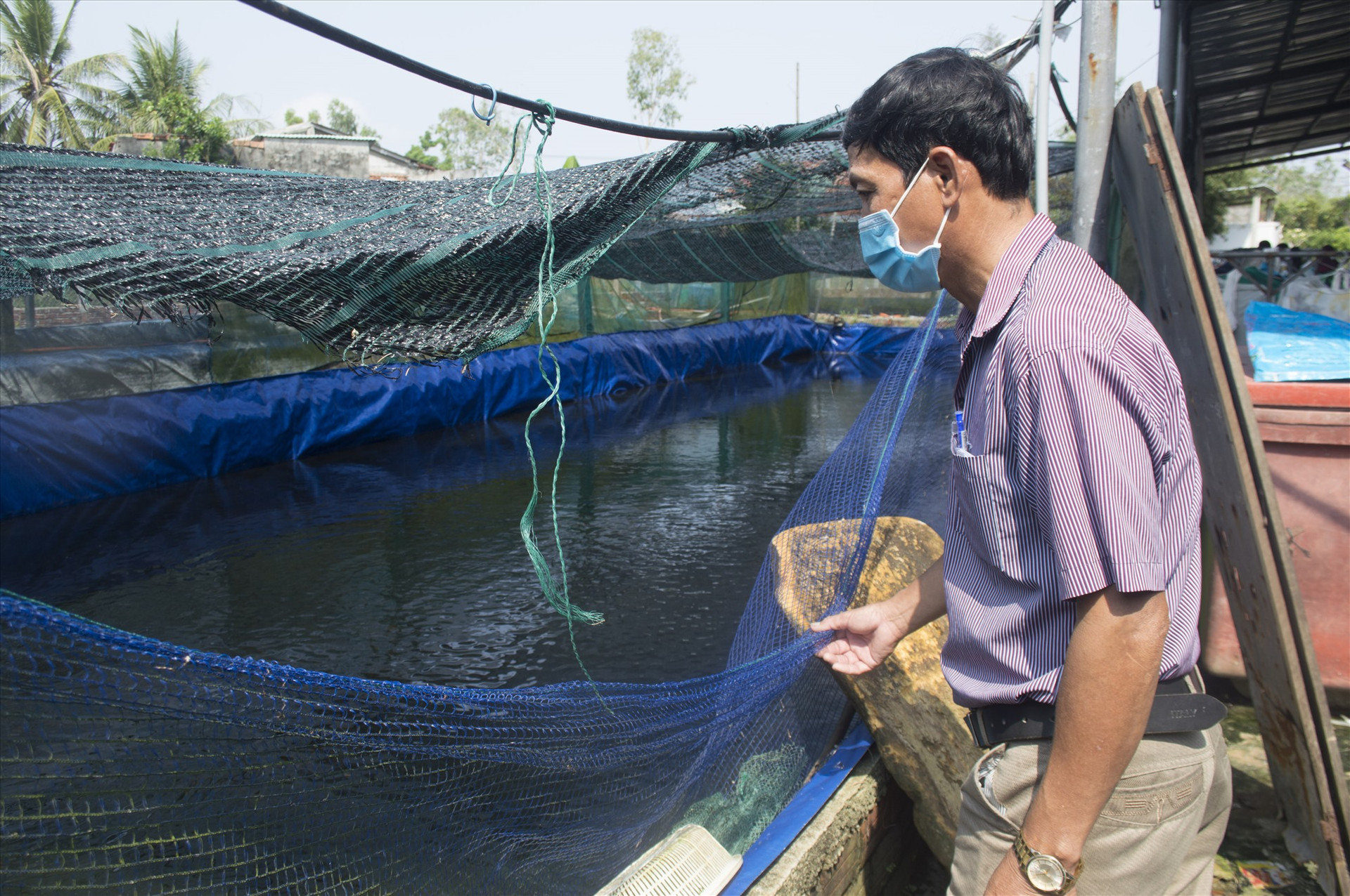 Chủ tịch Hội Nông Dân xã Bình Giang Võ Ngọc Bình xuống tham quan và đánh giá đây là mô hình nuôi cá lóc triển vọng ở địa phương mang lại hiệu quả kinh tế cao.
