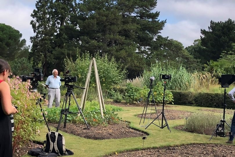 David Attenborough quay phim tại Vườn bách thảo của Đại học Cambridge