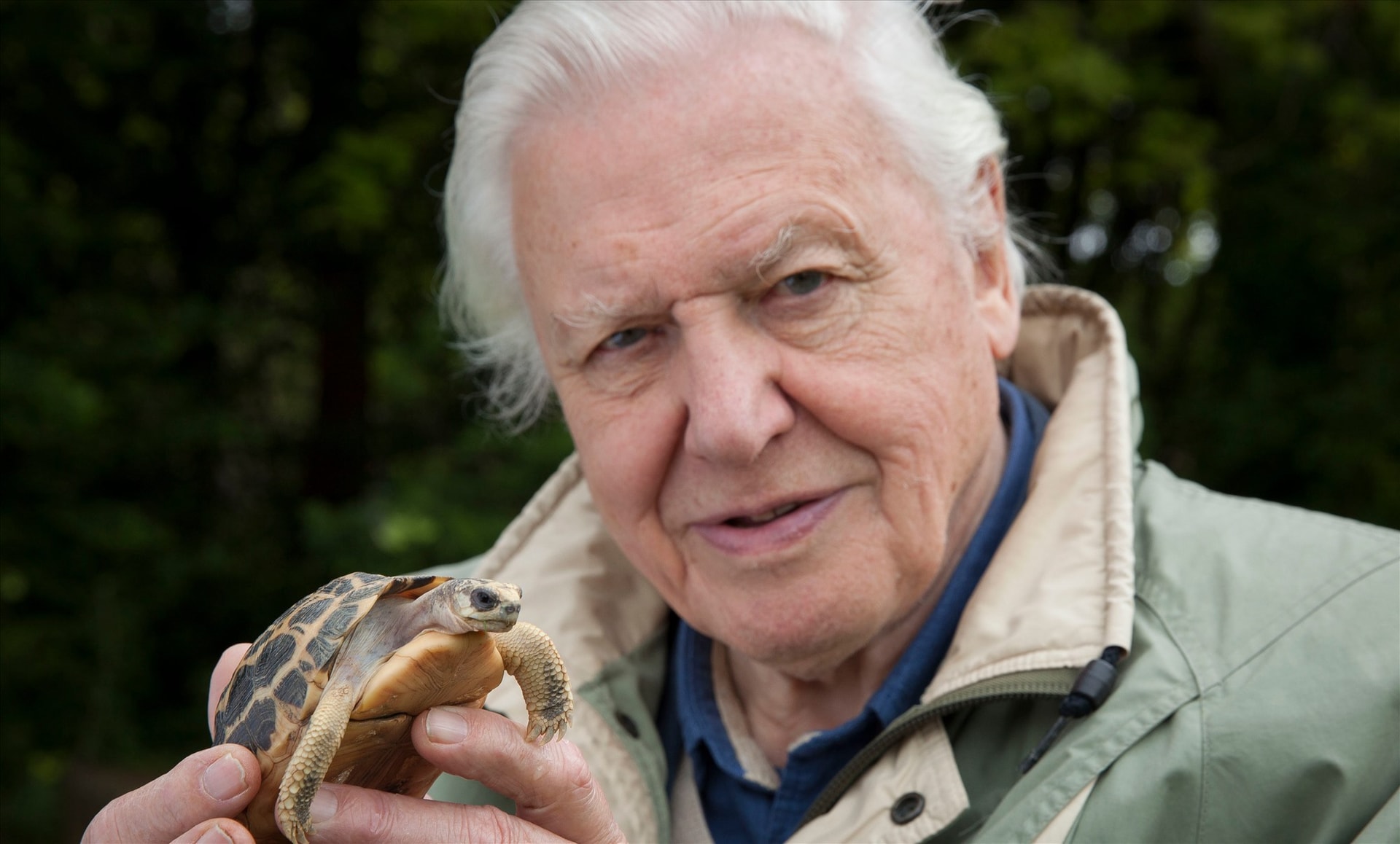 Ông David Attenborough. Ảnh: radiotimes