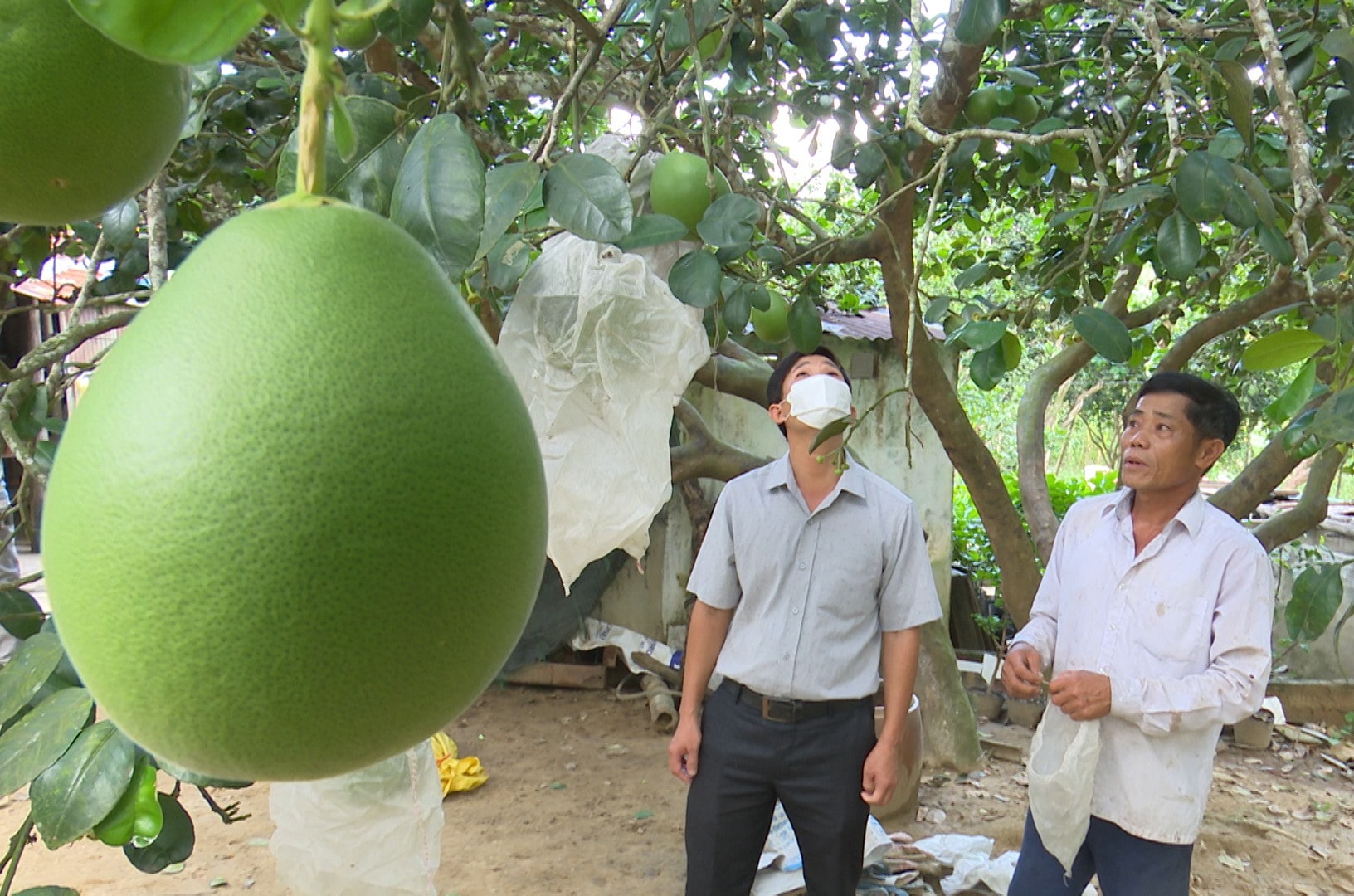 Nhờ có đường giao thông mà nhiều gia đình như ông Trần Văn Lên bán được nông sản. Ảnh: Tấn Sỹ