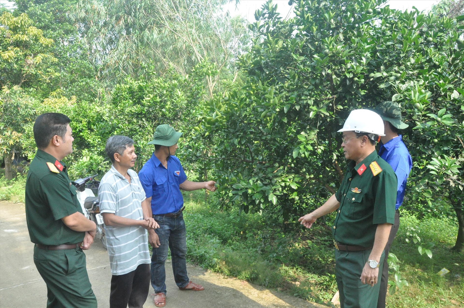 Đại tá Văn Phú Diệp (bên phải) cùng các bạn trí thức trẻ tình nguyện thăm vườn cam của gia đình anh A Lăng Rơng.