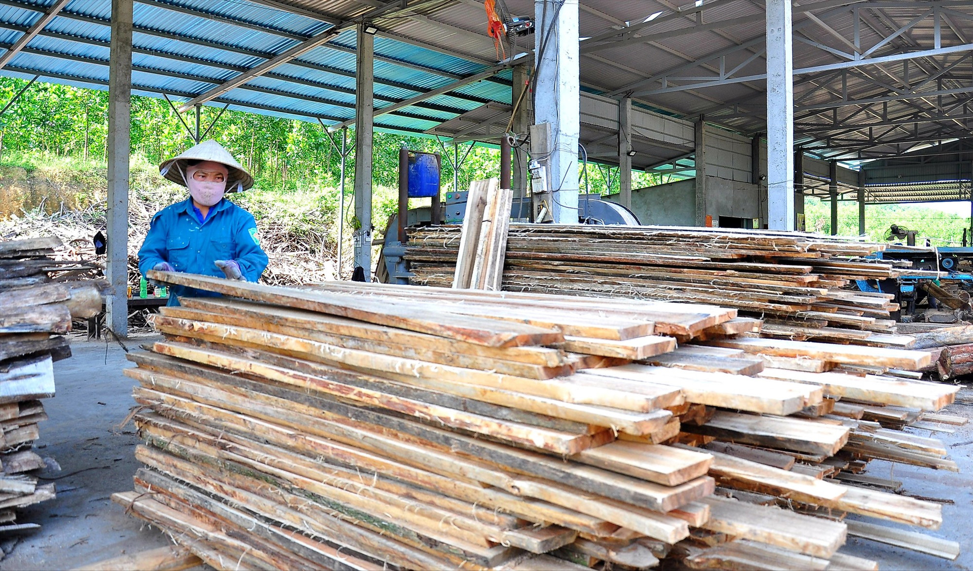 Thời gian tới, Hiệp Đức ưu tiên hỗ trợ các doanh nghiệp vào liên kết với người dân địa phương trồng và chế biến gỗ nguyên liệu. Ảnh: VĂN SỰ