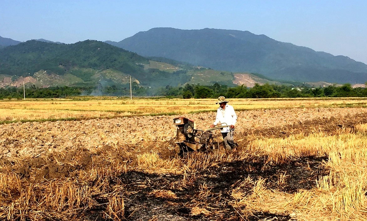 Sau khi thu hoạch lúa đông xuân, nông dân khẩn trương làm đất để chuẩn bị gieo sạ vụ hè thu 2022. Ảnh: VĂN SỰ