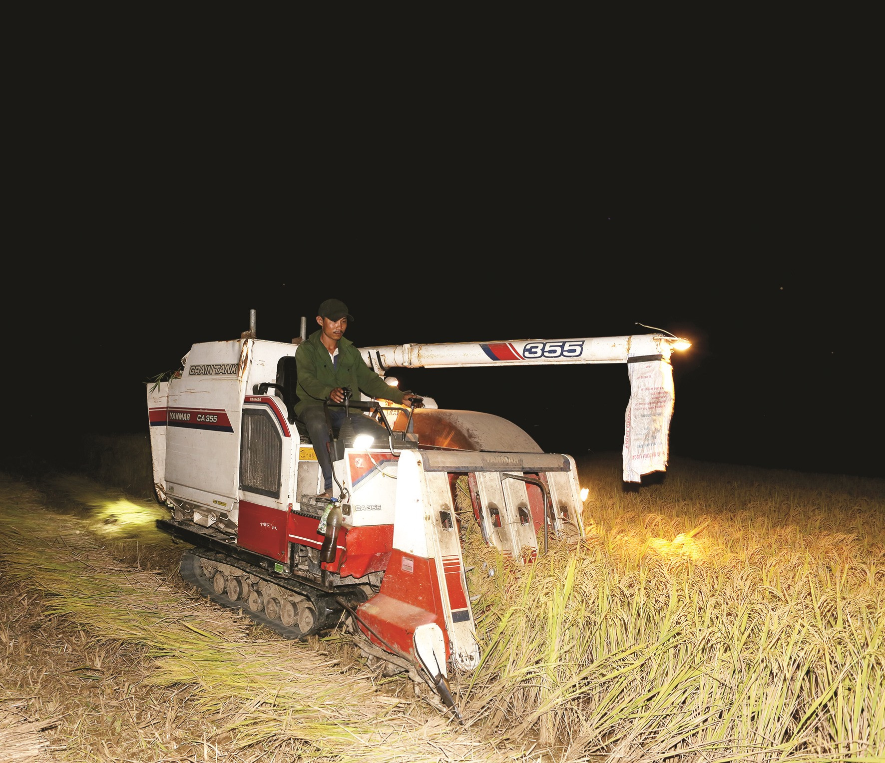 Anh Trần Văn Ninh điền khiển máy gặt lúa ban đêm.