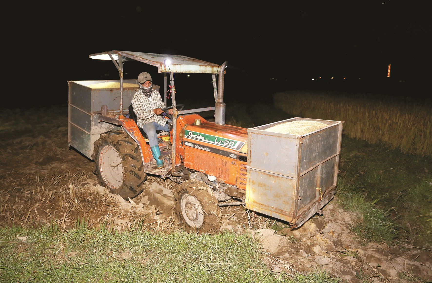 Máy cày được “độ chế” thành chiếc xe đưa lúa về nhà.