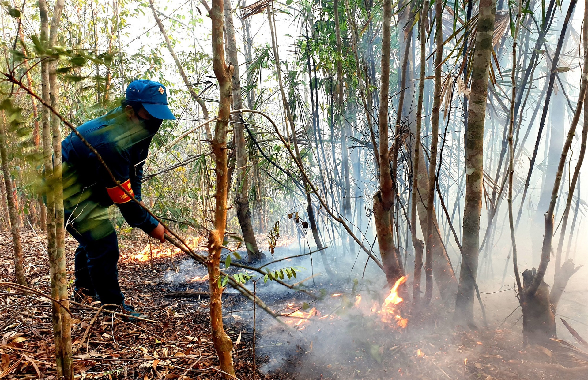 Mọt vụ cháy rừng phòng hộ ở Đông Giang năm 2020.